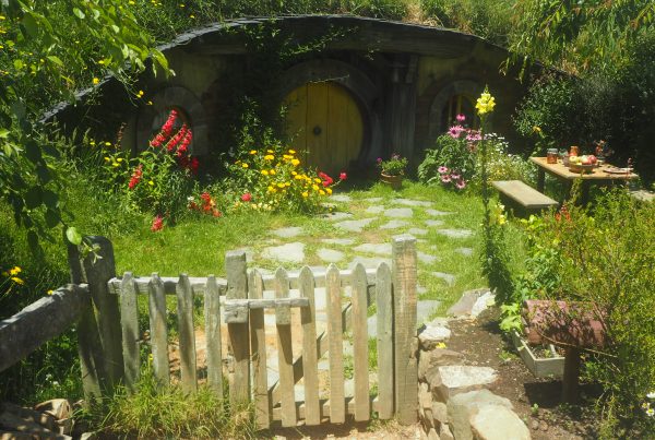 Hobbit – New Zealand